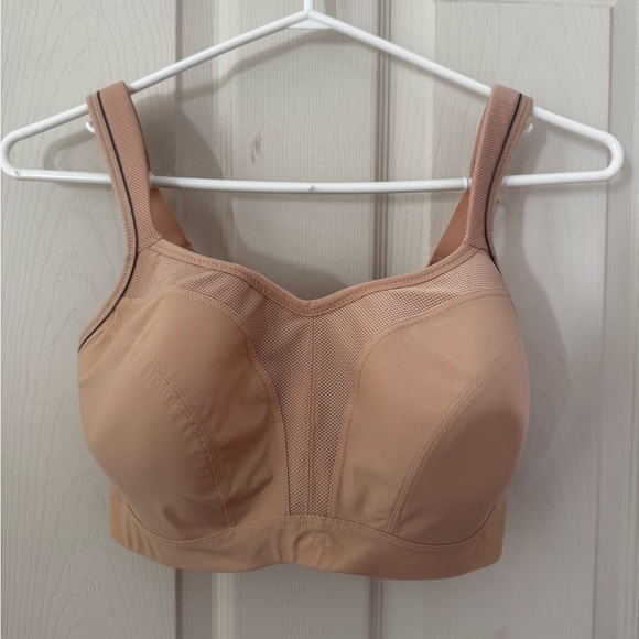 2*Panache underwire sports bra, latte and blue - Picture 4 of 5